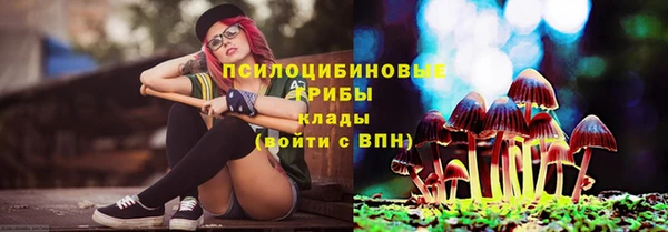 МДПВ Иннополис
