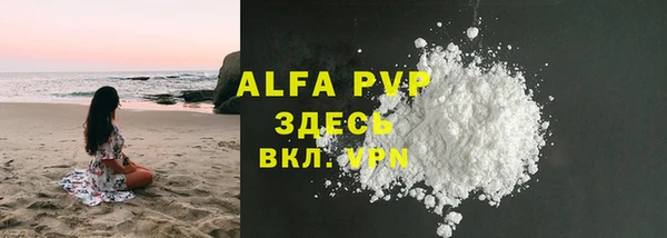 гидра Инсар