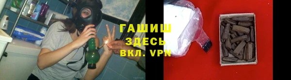 гидра Инсар