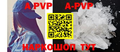 сатива Славгород