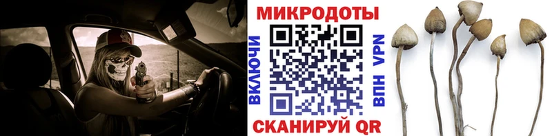 Псилоцибиновые грибы Magic Shrooms  omg ссылка  Чусовой 
