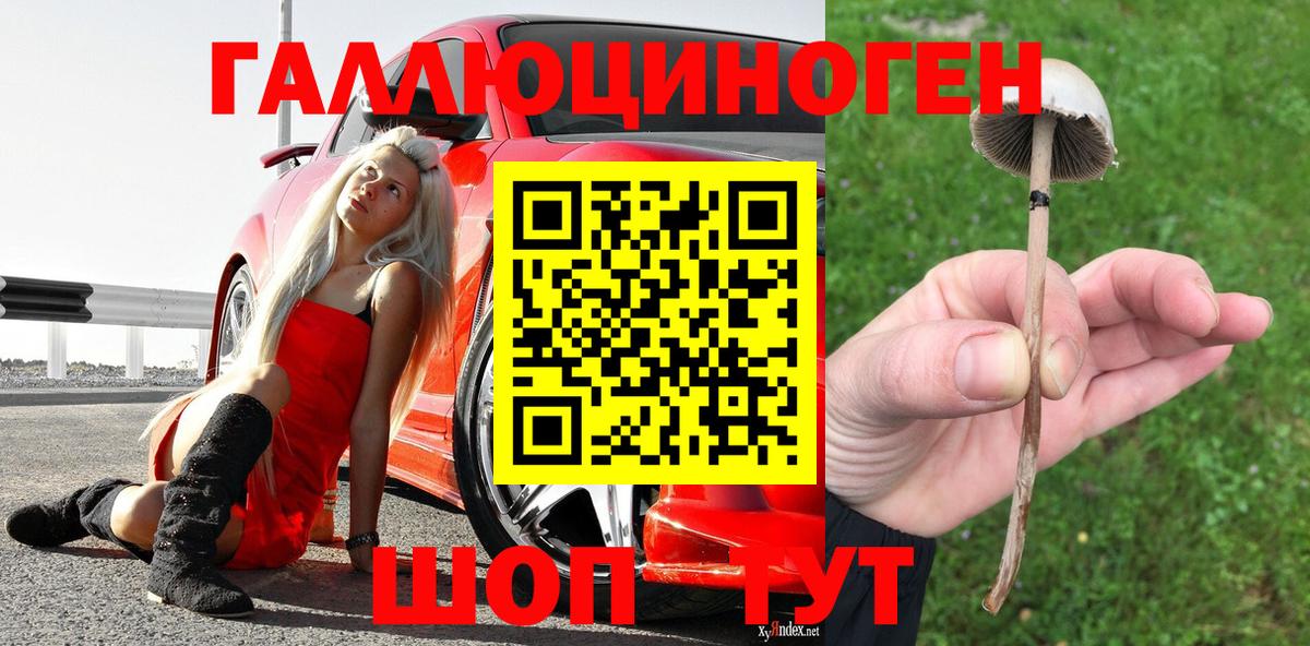купить наркоту  Псилоцибиновые грибы Magic Shrooms  Вход с VPN  Галлюциногенные грибы GOLDEN TEACHER  Чусовой 